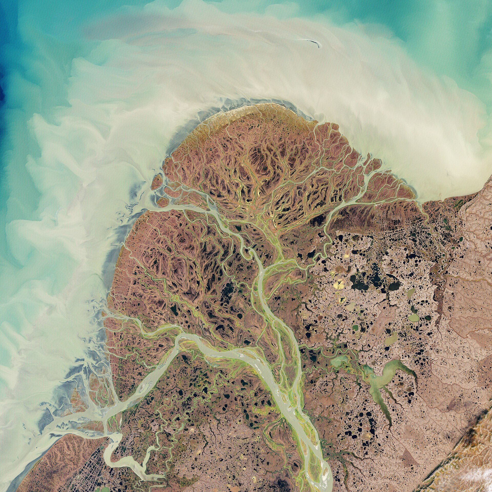 Satellite image of the Yukon River delta, Alaska, showing its branching channel network